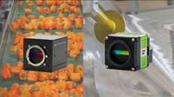 Webinar icon TL vs prism