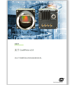 CXP Whitepaper Icon CN